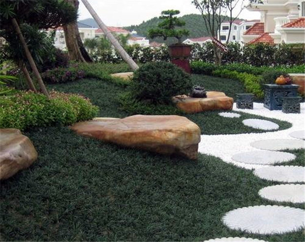 玉龍草花園鋪設實(shí)景圖片